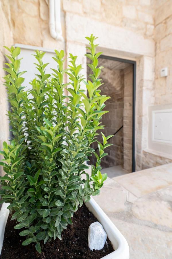 Piccola Pietra Bianca Hotel Giovinazzo Kültér fotó